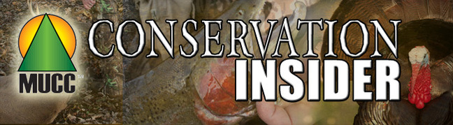 header_insider_2011 9